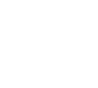 Pelorus